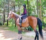 Shireen Sungkar