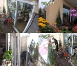 Balkon Mini Dipenuhi Bunga
