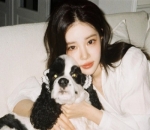 Pecinta Anjing