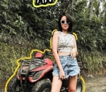 Bak Model ATV