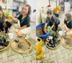 Gaya Bercocok Tanam Yang Seperti Ibu-Ibu Pada Umumnya