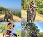 Romantis Naik Gajah Bersama