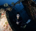 Naysila Mirdad