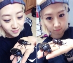 Hye Yeon Eks BESTie