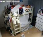 Kamar Xiaoting dan Chaehyun