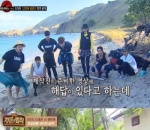 'Law of the Jungle'