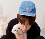 Coco Kesayangan Youngjae GOT7