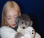 Si 'Selebgram' Zero Milik Tae Yoen Girls' Generation