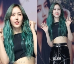 SinB VIVIZ