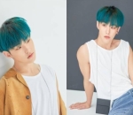 Hoshi SEVENTEEN