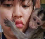 Santai Bareng Monyet