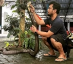 Panji Petualang
