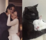 Recreate Pose Kucing