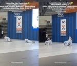 Lolos Semifinal
