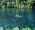 Berenang di Danau Tengah Hutan