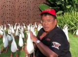 Dikatai Hotman Paris 'Biadap' Tinggalkan Korban Danau Toba, Ini Pembelaan Kapten Kapal Sumut