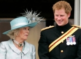 Pangeran Harry Disebut Katakan 'Hal-hal Jahat' Soal Camilla