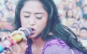 Video Goyang Seronok, Dewi Persik Dibully Netter 