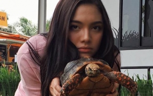 Angela Gilsha Foto Bareng Ular, Netter Puji Cewek Pemberani