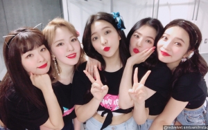 Red Velvet Pamer Foto Berempat, Netter Kangen Cari Joy