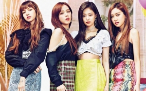 Bos YG Goda Fans Bocorkan Lightstick Resmi Black Pink, Penasaran?