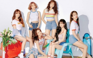 Segera Rayakan 6 Tahun Debut, AOA Kenang Masa Training dan Tinggal Serumah