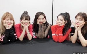Jalani Kegiatan di Jepang, Red Velvet Bagikan Foto dan Video Imut Ini
