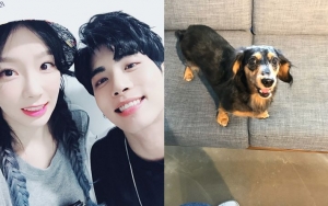 Unggah Ini,Tae Yeon Minta Fans Bantu Temukan Anjing Jonghyun yang Hilang