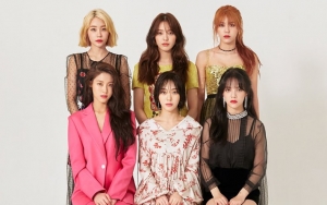Sering Bersama, Member AOA Curhat Kesepian Saat Jalani Jadwal Individu