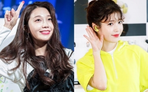 Susul Kang Seung Yoon, Eun Ji dan IU Juga Ikutan Ice Bucket Challenge
