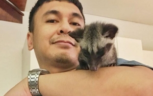 Dengarkan 'Lagi Syantik', Reaksi Kocak Raditya Dika Buat Netter Terpingkal
