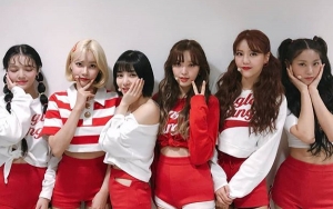 AOA Bicarakan Pertemanan dengan Jung Hae In Hingga Tak Percaya 'Bingle Bangle' Sukses Besar