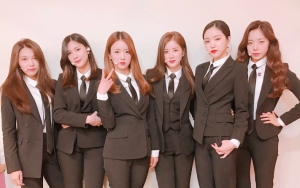 Ini yang Jadi Obrolan A Pink di Grup Chat Hingga Ungkap Kegiatan Saat Libur