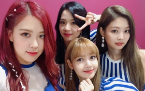 Black Pink Ungkap Perubahan Terbesar Usai Debut dan Kedekatan Antara Member
