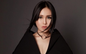 Edit Wajah Ayu Ting Ting Jadi Monyet, Haters Lagi-Lagi Ketahuan Adalah Fans Nagita?