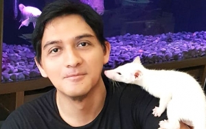 Jauh dari Anak, Lucky Hakim Tetap Jalin Komunikasi