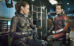 Bos Marvel Tegaskan 'Ant-Man and The Wasp' Bakal Nyambung Langsung ke 'Avengers 4'