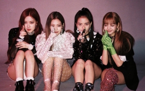 Penampilan Black Pink di Festival Lotte Dihentikan Mendadak Oleh Staf, Netter Berang