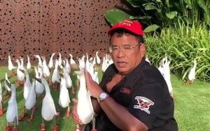 Dikatai Hotman Paris 'Biadap' Tinggalkan Korban Danau Toba, Ini Pembelaan Kapten Kapal Sumut