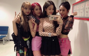 Berbentuk Mirip Palu, Ternyata Lightstick Resmi Black Pink Terinspirasi dari Ini