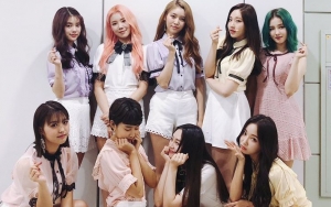Chart 'Bboom Bboom' Lebih Tinggi dari Lagu Comeback Momoland, Netter: Terlalu Mirip