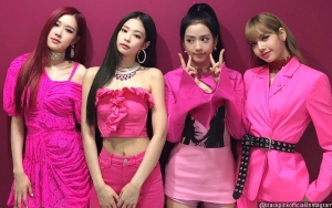 Sukses Tembus Chart Billboard, Black Pink Justru Tak Minat Debut di Amerika?