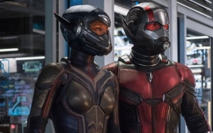 Nyambung ke 'Infinity War', Post-Credit Scene 'Ant-Man and the Wasp' Ungkap Fakta Ini 