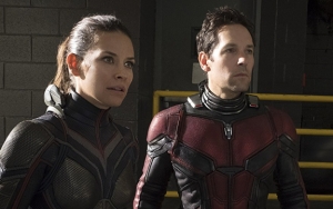 Siap-Siap, Peyton Redd Sebut 'Ant-Man and The Wasp' Versi Bluray Akan Ungkap Adegan yang Dihapus