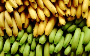Wajib Tahu, Ternyata Manfaat Pisang Berbeda Tergantung Tingkat Kematangan