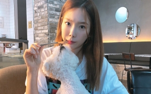 Asyik Rekam Video Sambil Gendong Anjing, Kocaknya Tae Yeon Malah Diminta Fotoin Orang Ini