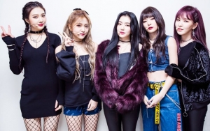 Kalahkan Twice - Black Pink, Ini Girl Grup Terpanas Paruh Pertama 2018 Pilihan Publik Korea