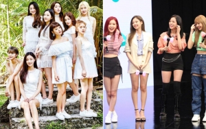 Terinspirasi, Momoland Ingin Mencoba Konsep ala Black Pink