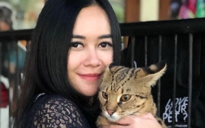 Ikut Tantangan 'In My Feelings' Pakai Becak, Tubuh Seksi Aura Kasih Jadi Sorotan