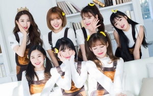 Alami Kecelakaan Mobil, Begini Kondisi Oh My Girl